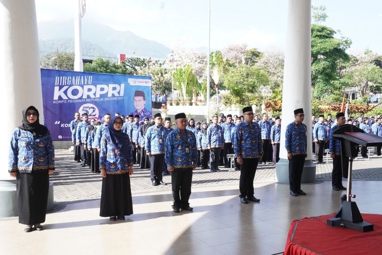 DIBUKA AGUSTUS,FORMASI CPNS 2024 LULUSAN SMA